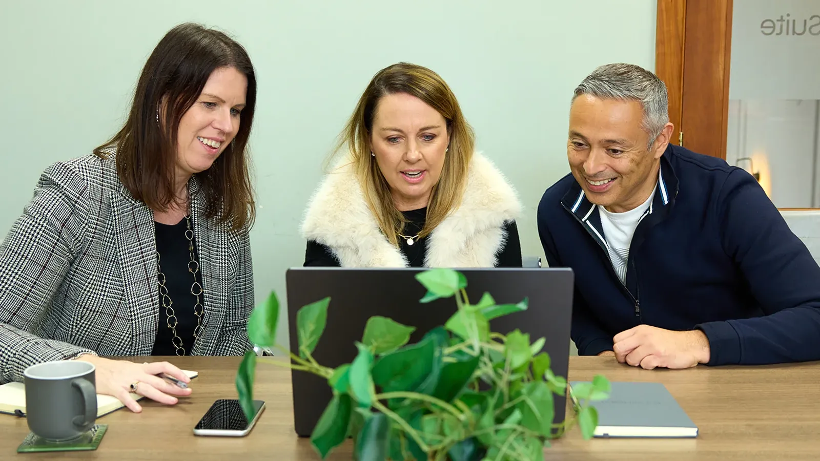 Three colleagues collaborating at a laptop, with a plant in the foreground.
