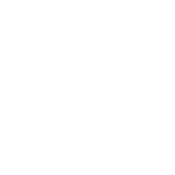 Brick wall with shield lock symbol
