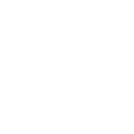 Browser with shield lock symbol