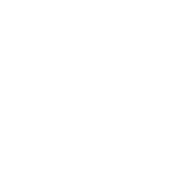 Database with search icon