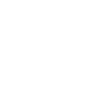 Globe with nodes