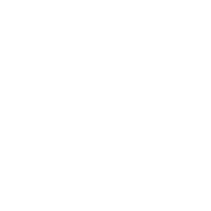 Lock with check mark symbol