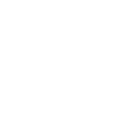 Plant with pound coin flower