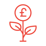 Plant with pound coin flower
