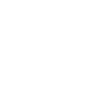 Pound coin