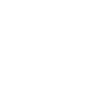 Speedometer