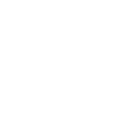 Target with arrow