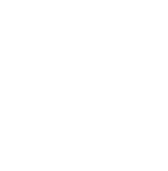 40%